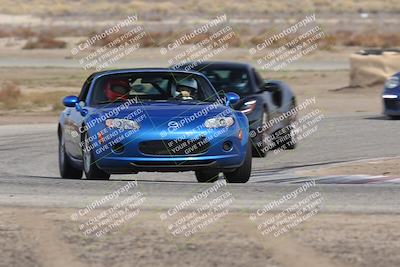 media/Nov-02-2025-Lotus Club of SoCal (Sun) [[dc384ab7f7]]/Novice Group/Cotton Corners/